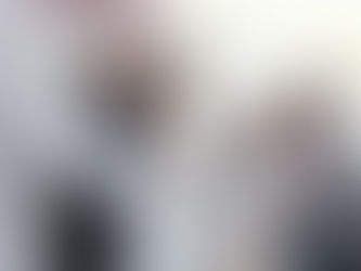 Impulsan conservación de aves nativas con programa educativo