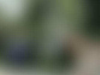 Rinde 4T Norteña guardia de honor a Mariano Escobedo en CDMX