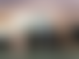 Presenta CONARTE revisión del patrimonio artístico de Nuevo León