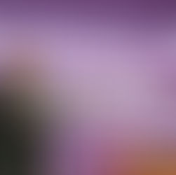 Lanza 4T Norteña modelo de gobernanza digital