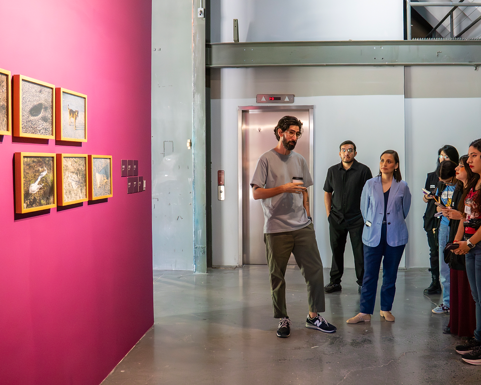 Invita CONARTE al II Encuentro de Artes Visuales, Cartografías Contemporáneas