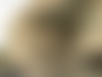 RECIBE C5 DE NUEVO LEÓN CERTIFICACIÓN INTERNACIONAL CALEA