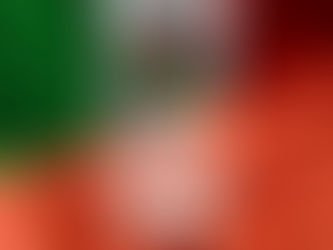 Acuerdo para la Protección y Promoción Recíproca de las Inversiones (APPRI) entre México y Kong Kong