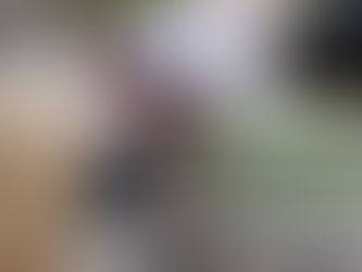 Detalla Cristina Díaz actividades para consolidar familias seguras en Guadalupe