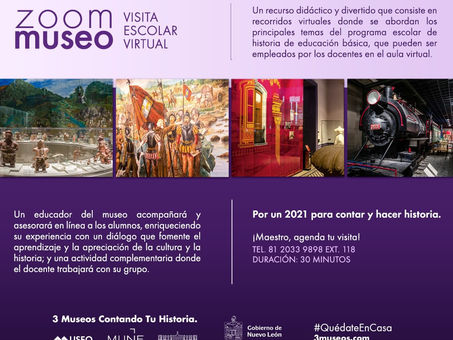 Zoom Museo, visita escolar virtual