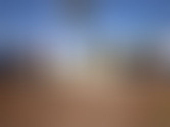 Va Monterrey por 50 mil árboles para combatir sequía y planchas de calor