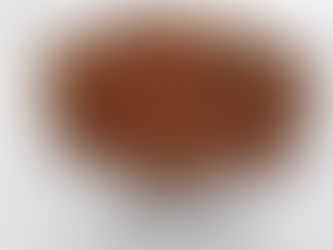 Expertos del INAH descubren evidencias de chinampas arqueológicas en Chalco, Estado de México