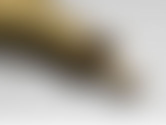 Estrena MUNE espacio dedicado a la Batalla de Monterrey