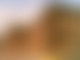 Emite Gobierno estatal Reglamento de Ley de Entrega-Recepción para el Estado de Nuevo León