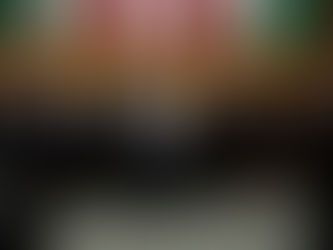 Propone PRI inscribir en letras áureas nombre de María Elena Chapa en mural del Congreso