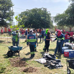 Realiza Gobierno de Monterrey jornada de forestación en Parque Cumbres Elite