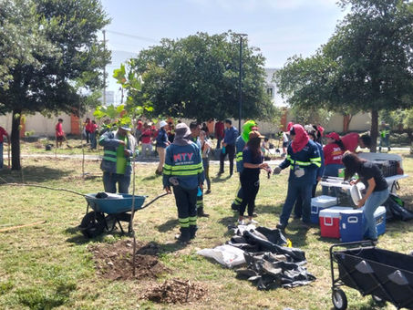Realiza Gobierno de Monterrey jornada de forestación en Parque Cumbres Elite