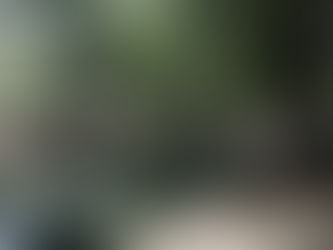 Invita Escobedo a disfrutar y cuidar el emblemático Ojo de Agua