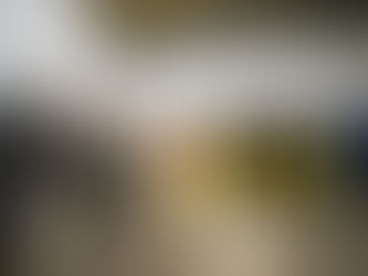 Entrega Colosio nueva caseta de policía en Chepevera