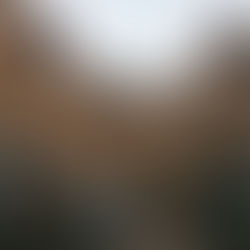 Edinburgh's Royal Mile: Cultural Guide with Landmarks, Map & Walking Tour