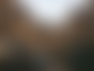 Edinburgh's Royal Mile: Cultural Guide with Landmarks, Map & Walking Tour