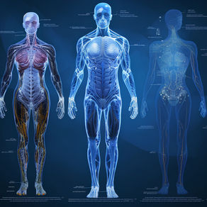 Illustration of human body, healing