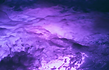premium-led-lighting.png
