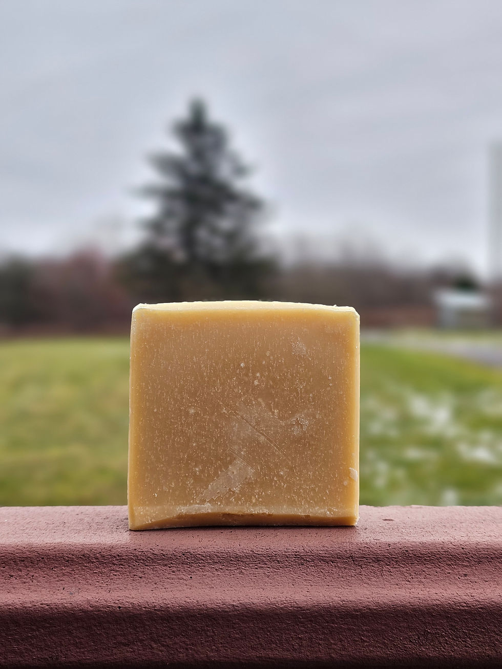 Strolling Through the Lemon Grass Goat Milk Soap