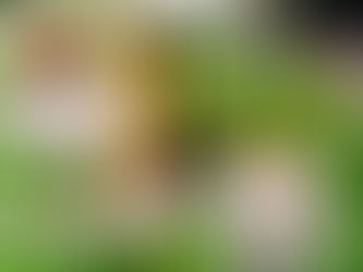 An Ode to Failure in 2020