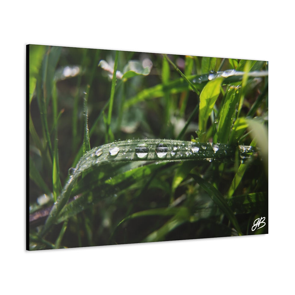 Thumbnail: Droplets | JB Signature Series