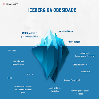 Iceberg da Obesidade