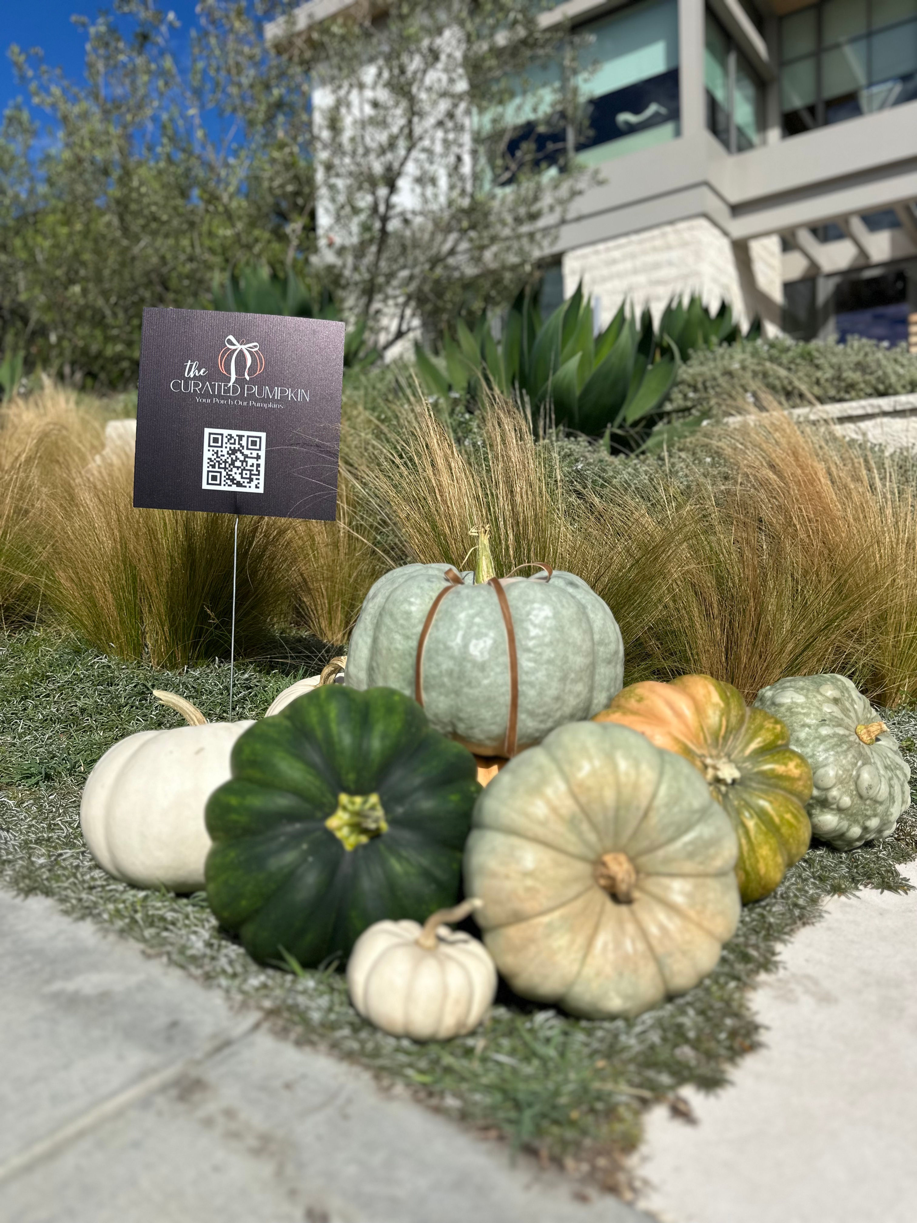 Our Custom Curated Collections #5