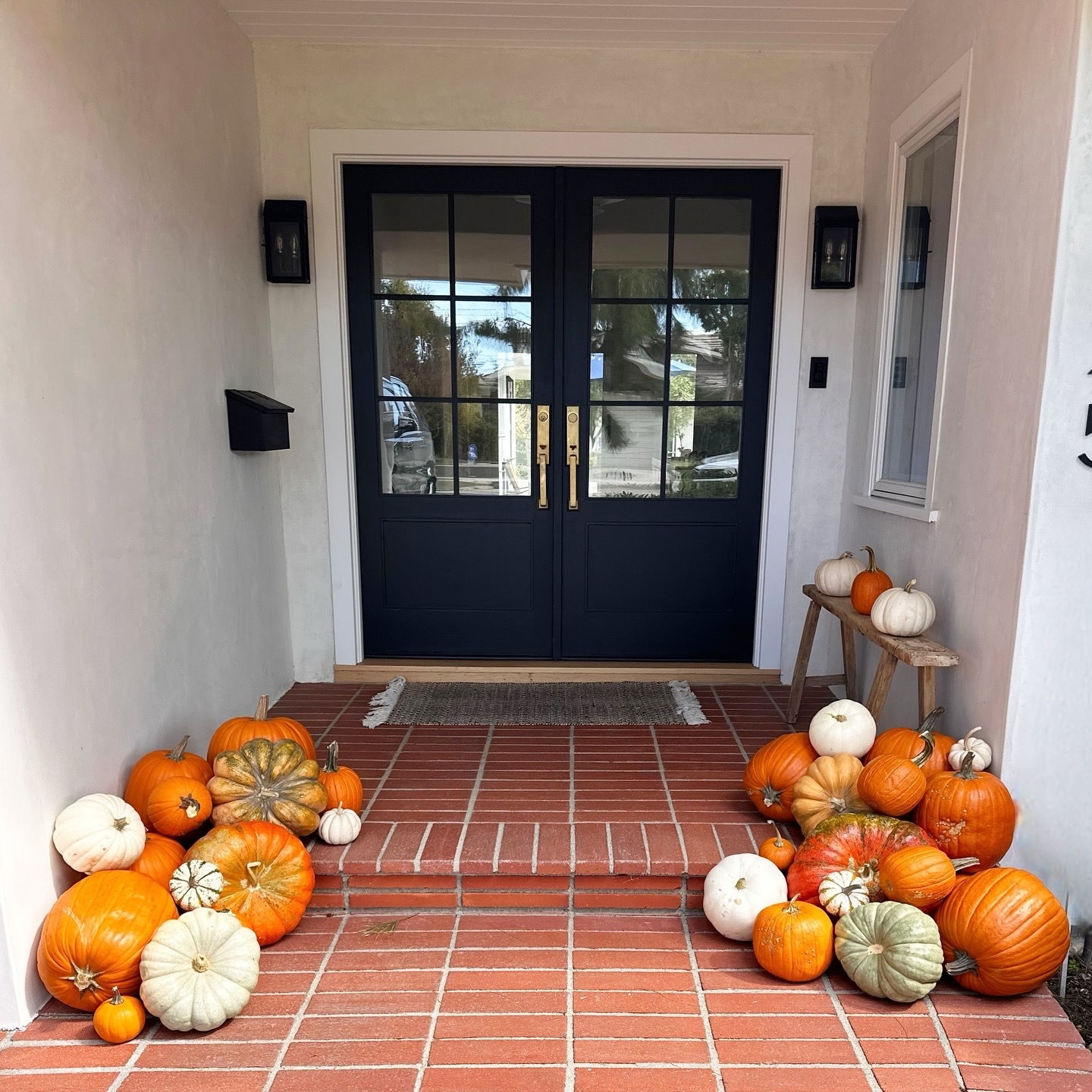 Curated Collection #1: The Fall Classic