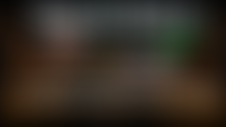 Path of Exile 2 0.5