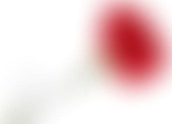 203) 17 Νοέμβρη...