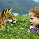 Com animale 3.jpg