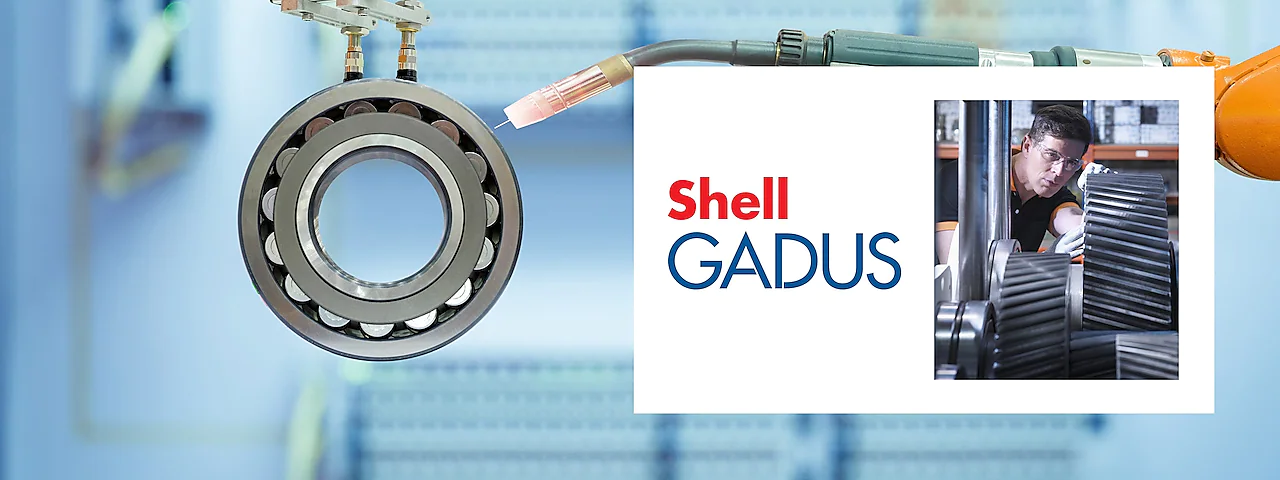 shell-gadus.webp