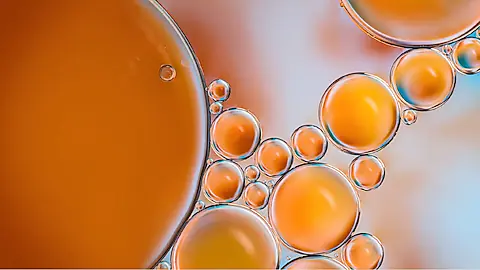 Shell lubricants