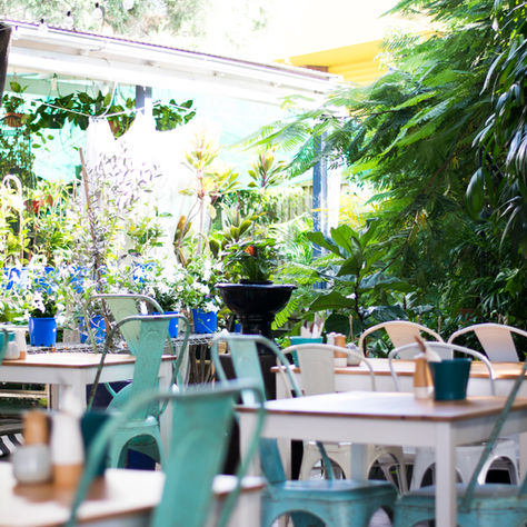 Increase to 50 guests Saturday 4th July