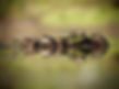 image6 (1).jpeg
