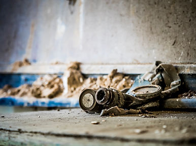 The Exclusion Zone - Wit-Rusland - Janneke van der Pol