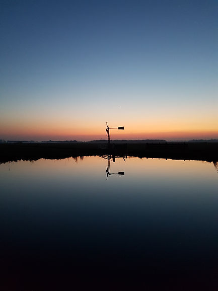 't blauwe uurtje in de polder - Peter Haitsma