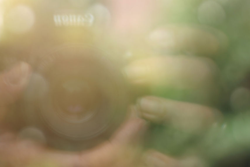 Freeze frame - Paulines Fotodicht