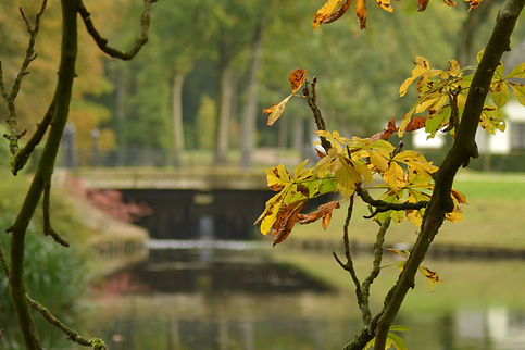 nellekewallenburg-fotografie