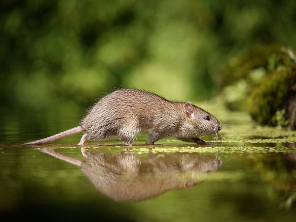 Gastblog Marleen van Eijk - Hutfotografie