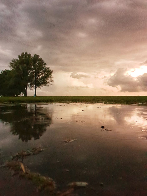 Storm - Paulines Fotodicht