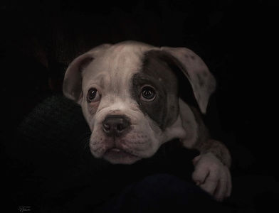 Max l Fotoblog Allways follow your dreams - Natascha Worseling