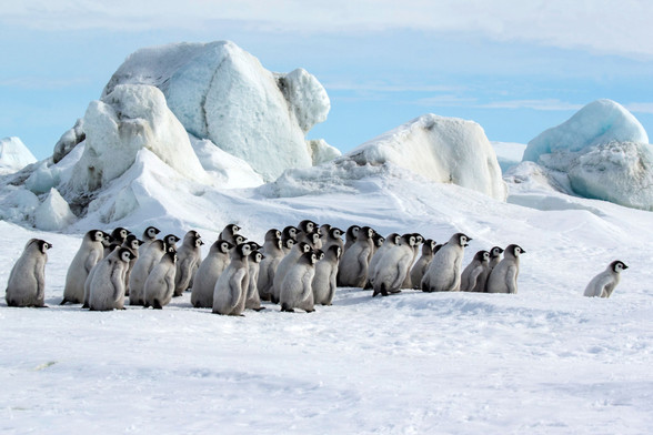 Fotoblog * Around the World - Otto Plantema