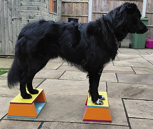 WhatsApp Image 2025-10-23 at 16.02_edited.jpg