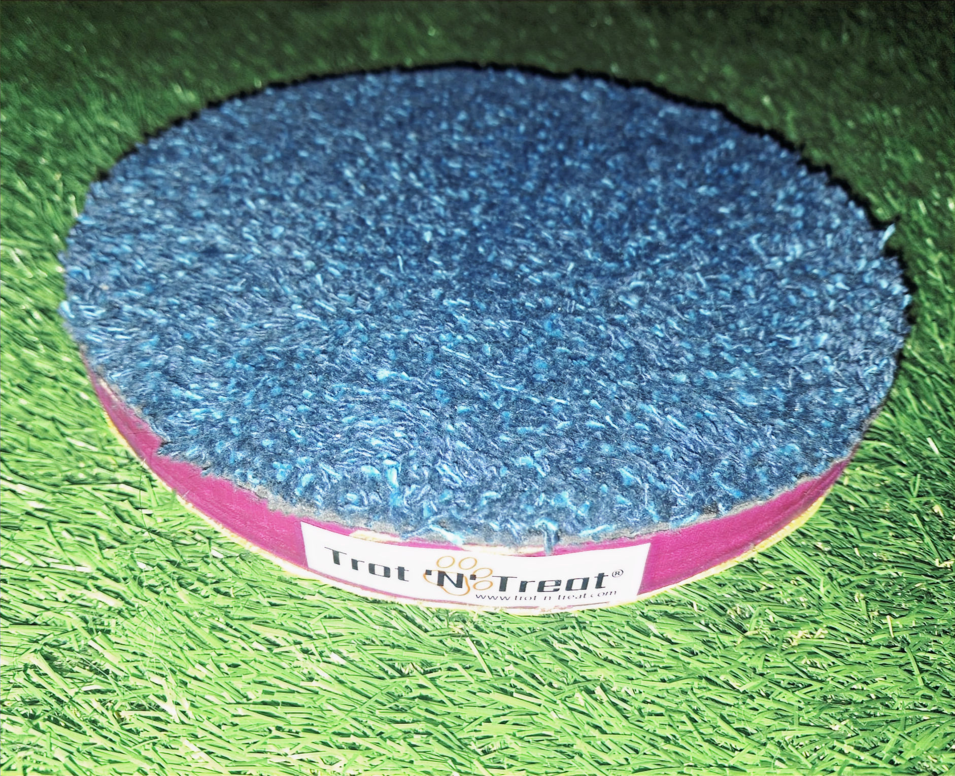 Trot 'N' Treat Pivot Platform