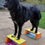 Thumbnail: Trot 'N' Treat Physio Platforms