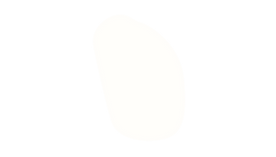 Texto del párrafo (42).png