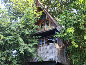 [su-re.co office] Our 1st treehouse under "Komorebi" and unhearable bird sounds  