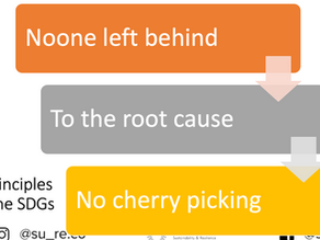 [SDGs] Three main principles of the SDGs and firewood 