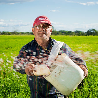 Farmer Representation